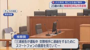 六ケ所村死亡ひき逃げ事件　23歳男に拘禁刑3年6カ月　起訴内容認める