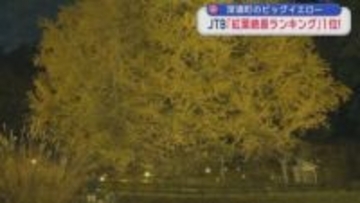 深浦町のビッグイエロー　JTB「紅葉絶景ランキング」１位！