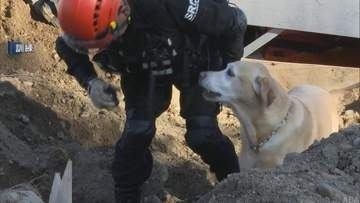 土砂災害を想定　弘前市で消防と災害救助犬の連携訓練