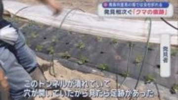 【青森市内 クマ出没】畑の農業資材も破壊