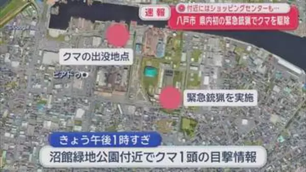 【速報】八戸市　県内初の緊急銃猟でクマを駆除　付近にはショッピングセンターも…