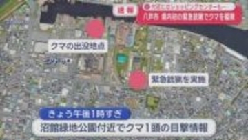 八戸市　県内初の緊急銃猟でクマを駆除　付近にはショッピングセンターも…