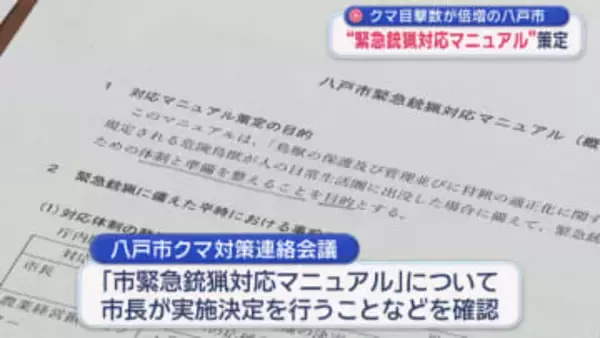 八戸市が「緊急銃猟対応マニュアル」を策定　クマ対策連絡会議で確認