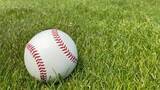 「高校野球春の青森県大会開幕　DH制採用のチームも」の画像1