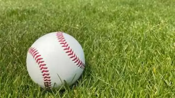 高校野球春の青森県大会開幕　DH制採用のチームも