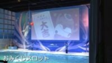 イルカショーの新春バージョン　青森市の浅虫水族館にぎわう