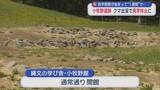 「見学再開したばかりなのに…　「小牧野遺跡」クマ出没で見学休止に」の画像1