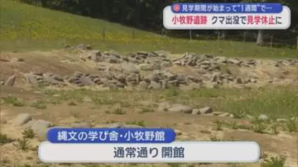 見学再開したばかりなのに…　「小牧野遺跡」クマ出没で見学休止に