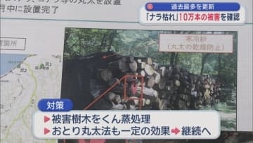 過去最多を更新　「ナラ枯れ」10万本の被害を確認