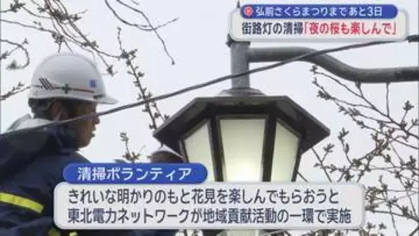 夜の桜も楽しんで！　弘前公園の街路灯 清掃ボランティア