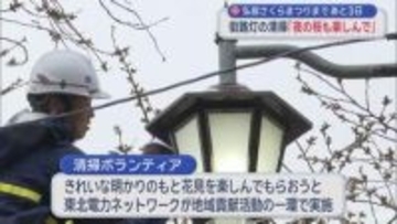 夜の桜も楽しんで！　弘前公園の街路灯 清掃ボランティア