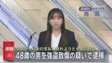 「タクシー料金の支払い免れようと十数回殴る　48歳の男を強盗致傷の疑いで逮捕」の画像1