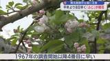 「リンゴ「ふじ」開花 平年より8日早い　開花期間中は霜に注意」の画像1