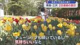 「青森と三沢で2日連続の夏日　県内各地で7月並みの暑さ」の画像1