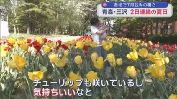 青森と三沢で2日連続の夏日　県内各地で7月並みの暑さ