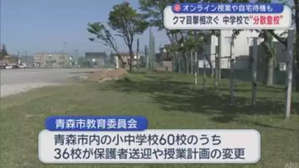 オンライン授業や自宅待機も　クマ目撃相次ぐ 中学校で“分散登校”／青森市