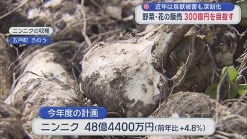 青森県産野菜・花の販売300億円を目指す　近年は鳥獣被害も深刻化