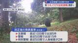 「出没情報10日間で5件　青森県「ツキノワグマ出没注意報」発表へ」の画像1