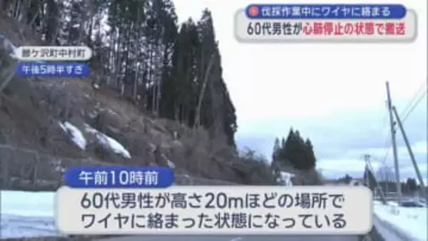 伐採作業中にワイヤに絡まる　60代男性が心肺停止の状態で搬送／青森県鰺ヶ沢町