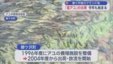「「金アユ」の出荷始まる　鰺ケ沢産のブランド魚」の画像1