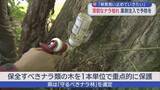 「「ナラ枯れ」被害防止へ　薬剤注入の予防対策学ぶ」の画像1