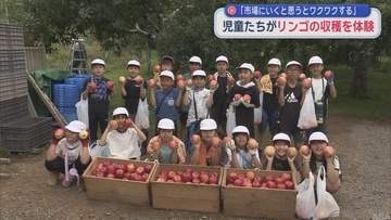 【青森・弘前市】「市場にいくと思うとワクワクする」　児童たちがリンゴの収穫を体験