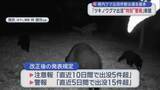 「青森県内クマ出没件数は過去最多　「ツキノワグマ出没“特別”警報」新設」の画像1