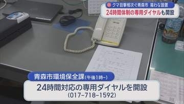 クマ目撃相次ぐ青森市　24時間専用電話開設・箱わな設置対応