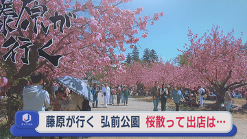「弘前公園」 桜散って出店は…　来年以降のまつり会期は…　【藤原が行く】＃68