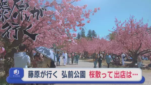 「弘前公園」 桜散って出店は…　来年以降のまつり会期は…　【藤原が行く】＃68