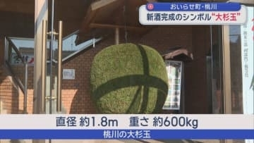 おいらせ町・桃川　新酒完成のシンボル“大杉玉”