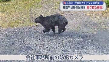 弘前市　保育園近くでクマの目撃　登園中目撃の保護者「青ざめた表情」