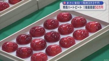 まさに宝石！1粒約3万3千円　青森ハートビート １箱最高値50万円