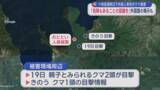 「十和田湖周辺で外国人男性がクマ被害　「危険もあることの認識を」外国語の掲示も」の画像1