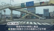 青森市の国道の歩道橋から男性が転落　付近が一時通行規制