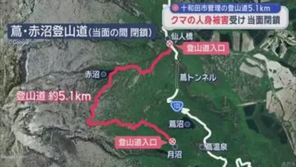 八甲田地区で発生したクマ人身被害受け　十和田市が登山道（5.1km）を当面閉鎖