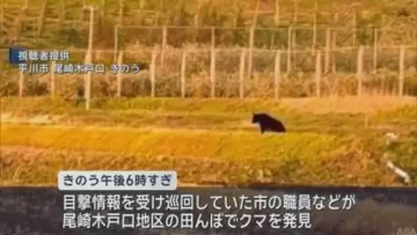 平川市　緊急銃猟によりクマ１頭を駆除　県内２例目