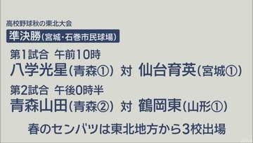 高校野球秋の東北大会 八戸学院光星と青森山田が4強進出 光星・秋元は7回参考ノーヒットノーラン