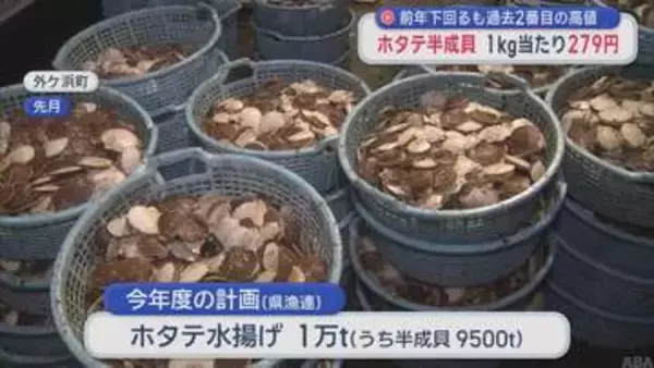 陸奥湾ホタテ半成貝の入札 1キロ当たり279円　前年より下がるも過去2番目の高値
