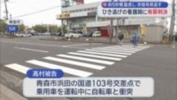 約5秒間脇見し赤信号見逃す　約5秒間脇見し赤信号見逃す