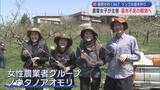 「農業女子が主催 リンゴの苗木づくり講習会　苗木不足の解消へ　【藤原が行く】＃６７」の画像1