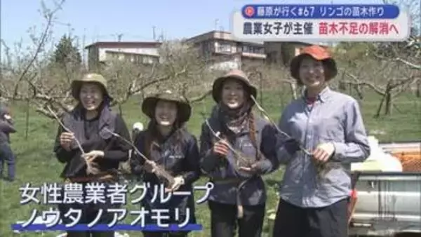 農業女子が主催 リンゴの苗木づくり講習会　苗木不足の解消へ　【藤原が行く】＃６７