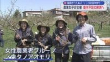 農業女子が主催 リンゴの苗木づくり講習会　苗木不足の解消へ　【藤原が行く】＃６７