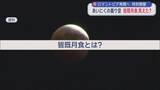 「ロマントピア再開へ　特別開館　あいにくの曇り空　皆既月食見えた？／青森県弘前市」の画像1