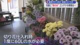 「【藤原が行く】＃５２　地震発生から１カ月　花屋に"命の水” コンテナの移設は…／青森県」の画像1