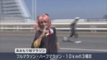 見頃を迎えた桜を眺めながら　「あおもり桜マラソン」開催