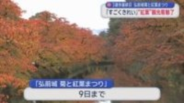 3連休最終日　弘前城菊と紅葉まつり　「すごくきれい」“紅葉”観光客魅了
