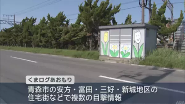 青森市内16日もクマ目撃相次ぐ　前日には緊急銃猟で1頭駆除