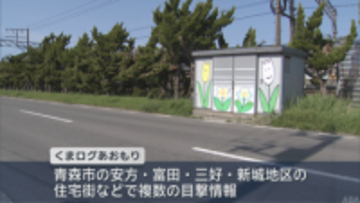 青森市内16日もクマ目撃相次ぐ　前日には緊急銃猟で1頭駆除