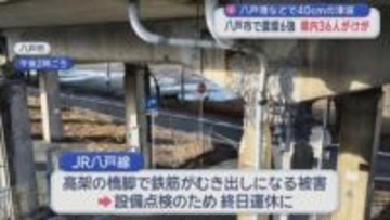 八戸港などで40ｃｍの津波　八戸市で震度6強　県内36人けが